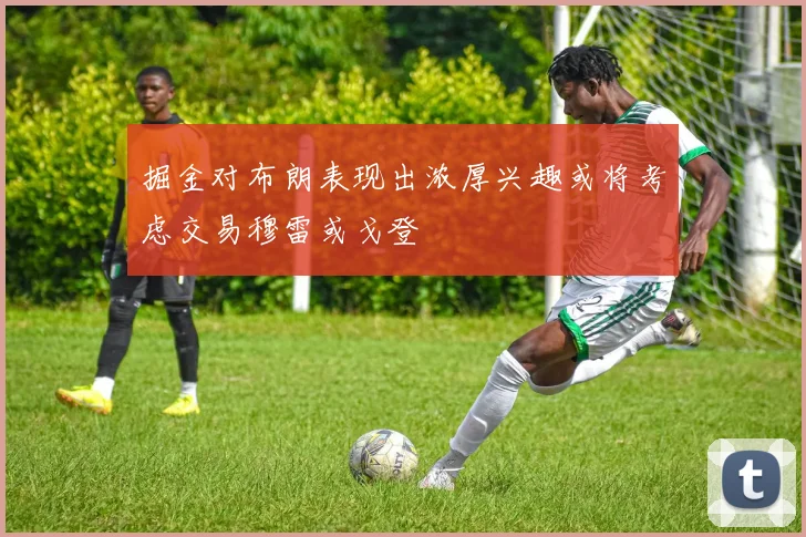 掘金对布朗表现出浓厚兴趣或将考虑交易穆雷或戈登
